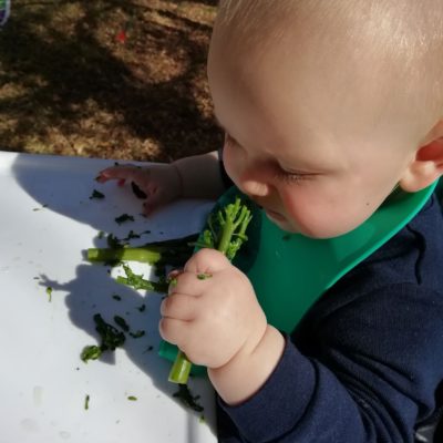 Hoe om te begin met vastekos? Die ‘Baby-led Weaning’ manier.